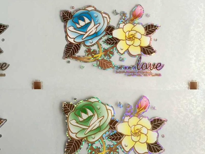 愛(ài)普生l850打印機(jī)能不能熱轉(zhuǎn)??？